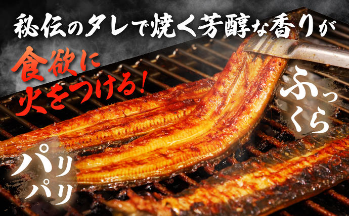 宮崎県日南市のふるさと納税 職人 手焼き うなぎ蒲焼 2尾 計260g以上 鰻 魚介類 伝統の味 秘伝のタレ 厳選 国産 ウナギ おかず 食品 加工品 真空パック 冷蔵 人気 おすすめ うな重 うな丼 惣菜 お土産 ひつまぶし うなぎ寿司 お祝い 贈り物 ギフト 贈答 プレゼント 宮崎県 日南市 送料無料_CD40-23