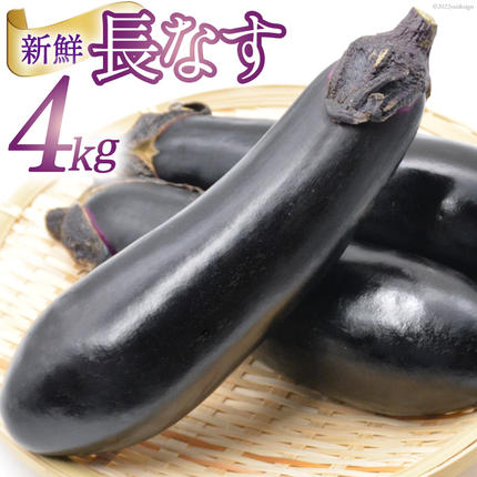 期間限定発送】 野菜 長ナス 33～39本前後 4kg箱 [ラハマン農園 山梨県