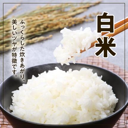 宮崎県延岡市のふるさと納税 宮崎ヒノヒカリ延岡産白米と白い玄米セット合計16.6kg N0149-YE115