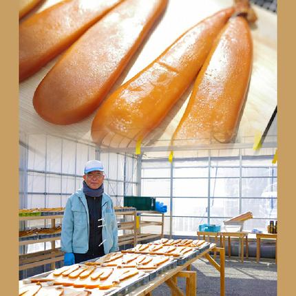 宮崎県延岡市のふるさと納税 からすみ ドライスライス 8枚　N024-YZA0171