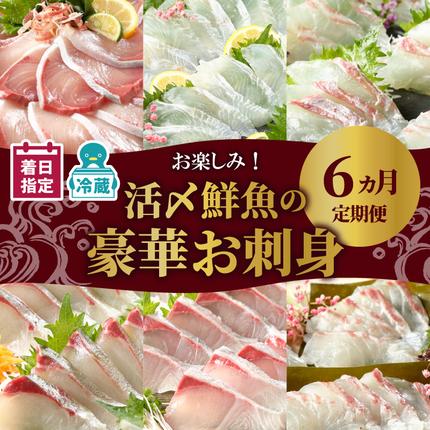 【お楽しみ定期便】延岡産活〆鮮魚の豪華お刺
