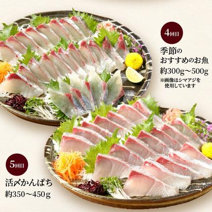 宮崎県延岡市のふるさと納税 【お楽しみ定期便】延岡産活〆鮮魚の豪華お刺身（6ヶ月定期便） N019-YF073