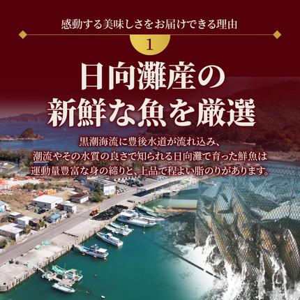 宮崎県延岡市のふるさと納税 【お楽しみ定期便】延岡産活〆鮮魚の豪華お刺身（6ヶ月定期便） N019-YF073