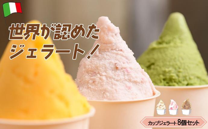 mammaカップジェラート詰め合わせ 8個セット