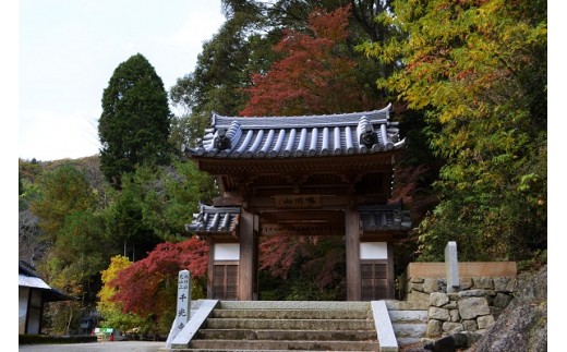 奈良県平群町のふるさと納税 お寺に泊まってみませんか？「千光寺」宿坊体験(お1人様用)