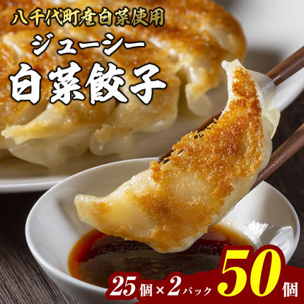 国産素材】生産量日本一！八千代町の白菜を使った ジューシー白菜餃子