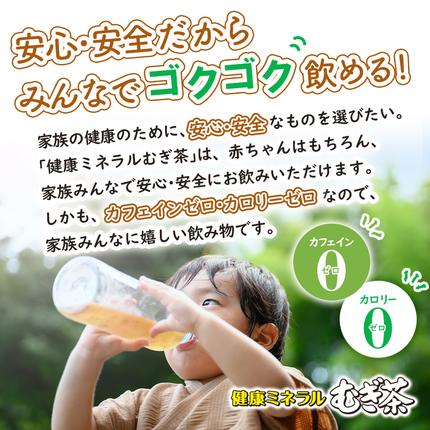 北海道恵庭市のふるさと納税 『定期便：全2回』健康ミネラルむぎ茶2L×6本【500008】