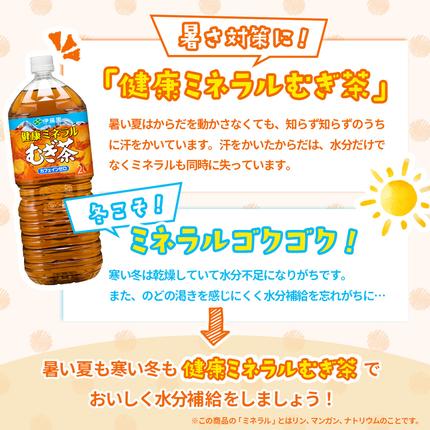 北海道恵庭市のふるさと納税 『定期便：全2回』健康ミネラルむぎ茶2L×6本【500008】