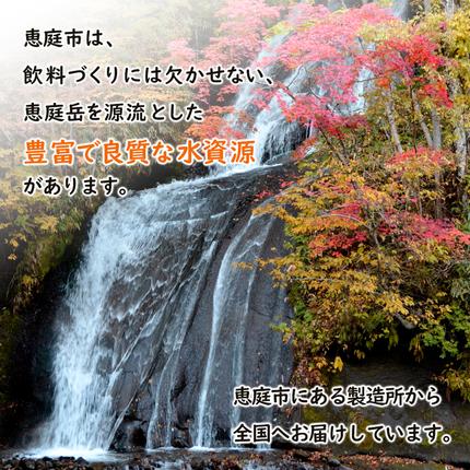 北海道恵庭市のふるさと納税 『定期便：全2回』健康ミネラルむぎ茶2L×6本【500008】