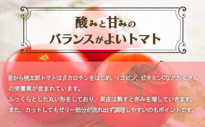 奈良県平群町のふるさと納税 【定期便2回】桃太郎 トマト（12～15玉）約2kg×2回 （計4kg）