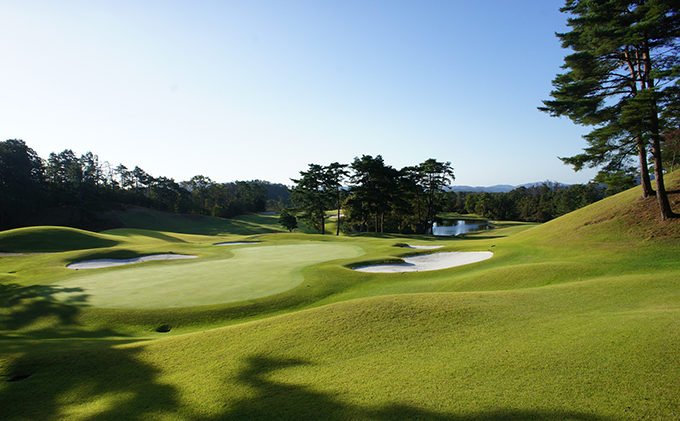 岡山県高梁市のふるさと納税 パインツリーゴルフクラブ 1名様平日プレー無料優待券（昼食付) ゴルフ場 利用券 優待チケット 丘陵 林間 コース 松林 自然 戦略的 スポーツ 趣味 ビジネス 社会人