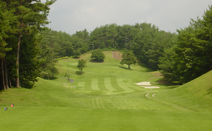 岡山県高梁市のふるさと納税 パインツリーゴルフクラブ 1名様平日プレー無料優待券（昼食付) ゴルフ場 利用券 優待チケット 丘陵 林間 コース 松林 自然 戦略的 スポーツ 趣味 ビジネス 社会人