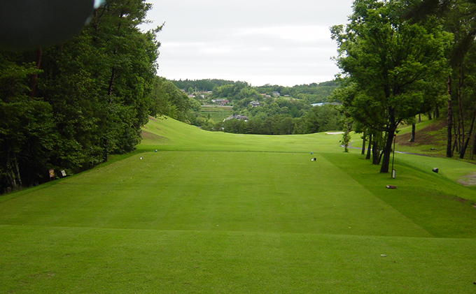 岡山県高梁市のふるさと納税 パインツリーゴルフクラブ 1名様平日プレー無料優待券（昼食付) ゴルフ場 利用券 優待チケット 丘陵 林間 コース 松林 自然 戦略的 スポーツ 趣味 ビジネス 社会人