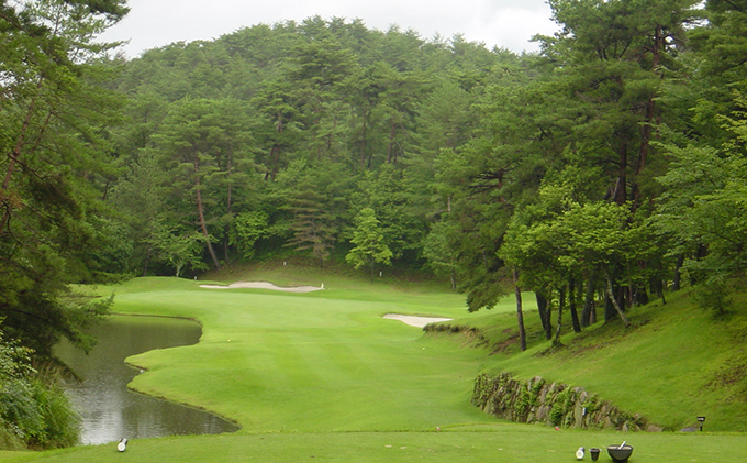 岡山県高梁市のふるさと納税 パインツリーゴルフクラブ 1名様平日プレー無料優待券（昼食付) ゴルフ場 利用券 優待チケット 丘陵 林間 コース 松林 自然 戦略的 スポーツ 趣味 ビジネス 社会人