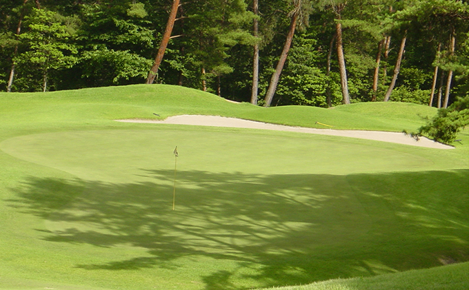 岡山県高梁市のふるさと納税 パインツリーゴルフクラブ 1名様平日プレー無料優待券（昼食付) ゴルフ場 利用券 優待チケット 丘陵 林間 コース 松林 自然 戦略的 スポーツ 趣味 ビジネス 社会人