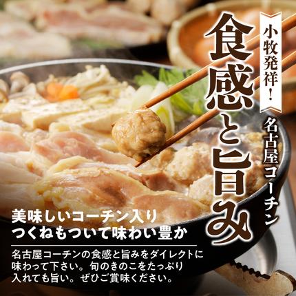 愛知県小牧市のふるさと納税 名古屋コーチンすき焼きセット[003D04]