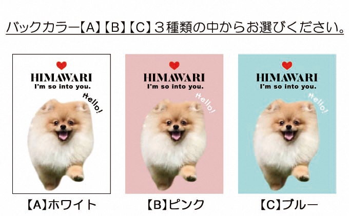 ペットの可愛いお写真をキーホルダーに♪うちの子アクリルキーホルダー