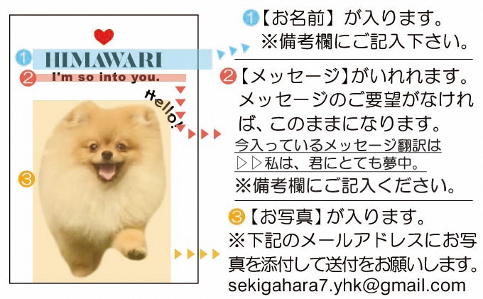 ペットの可愛いお写真をキーホルダーに♪うちの子アクリルキーホルダー