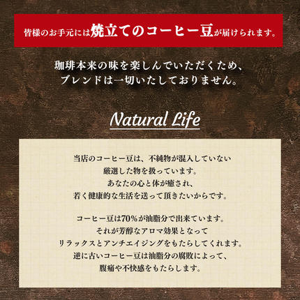 奈良県平群町のふるさと納税 店主の厳選ドリップパック 28個入り（ 5種 ）