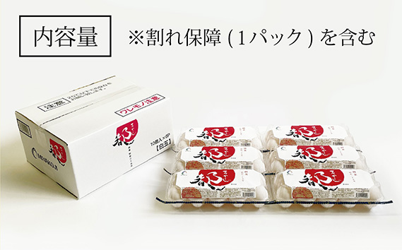 茨城県坂東市のふるさと納税 No.216 たまごのプロが認める伝承卵「みやこじ」60個 ／ タマゴ 玉子 茨城県 特産品