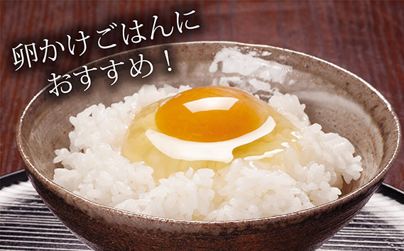 茨城県坂東市のふるさと納税 No.216 たまごのプロが認める伝承卵「みやこじ」60個 ／ タマゴ 玉子 茨城県 特産品
