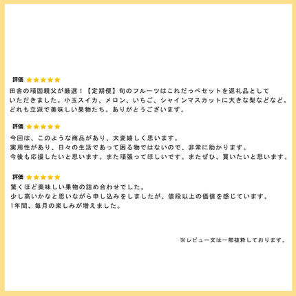 茨城県つくばみらい市のふるさと納税 【定期便】 旬のフルーツはこれだっぺセット 年4回 田舎の頑固おやじが厳選！ 定期便 フルーツ 果物 厳選 季節 旬  [BI366-NT]