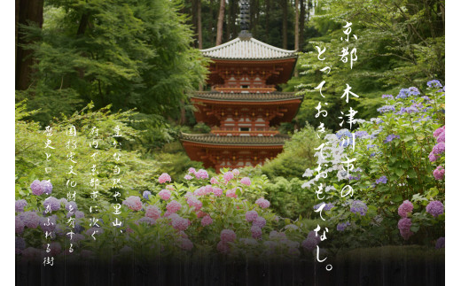 京都府木津川市のふるさと納税 とり肉と京野菜を【東京新宿】でカジュアルに味わう2名様焼鳥コースお食事券