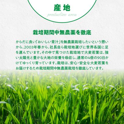 愛知県小牧市のふるさと納税 【徳用】山本漢方の大麦若葉100％青汁（154スティック入り）[027Y01]