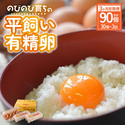 JK-04　【3ヶ月定期便】のびのび育ちの