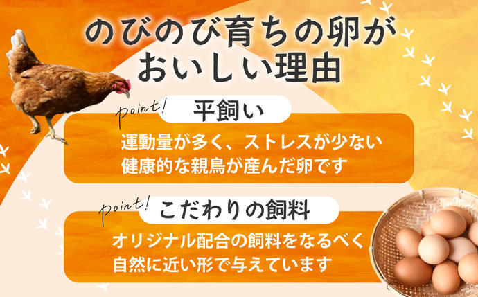 三重県多気町のふるさと納税 JK-04　【3ヶ月定期便】のびのび育ちの平飼い有精卵（30個×3ヶ月）