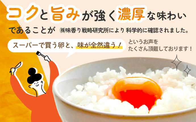 三重県多気町のふるさと納税 JK-04　【3ヶ月定期便】のびのび育ちの平飼い有精卵（30個×3ヶ月）