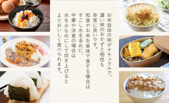 京都府木津川市のふるさと納税 京都府木津川市　お米　10kg　毎日の健康に（特別栽培米）