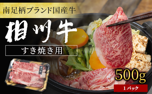 神奈川県南足柄市のふるさと納税 【国産希少牛】 相州牛（すき焼き用） 500g 南足柄ブランド 国産牛 肉 ふるさと納税【すき焼き 牛肉 お肉 ブランド牛 神奈川県 南足柄市 】