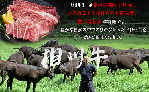 神奈川県南足柄市のふるさと納税 【国産希少牛】 相州牛（すき焼き用） 1.0kg 南足柄ブランド 国産牛 肉 1キロ【すき焼き 牛肉 お肉 ブランド牛 ギフト プレゼント 贈り物 お返し 贈答 贈答品 贈答用 神奈川県 南足柄市 】