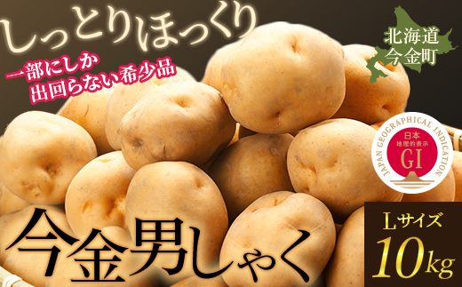 北海道今金町のふるさと納税 【先行予約】今金男しゃく（Lサイズ）約10kg【GI認証取得】（2025年10月～11月下旬までに発送） じゃがいも 男爵 いも だんしゃく 野菜 幻 北海道 今金町 GI認証 Lサイズ 10kg F21W-287