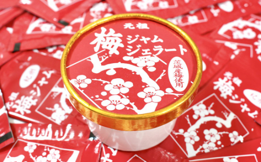 茨城県坂東市のふるさと納税 No.390 梅ジャムジェラート　【100g×6個】 ／ デザート　スイーツ　ジェラート　アイスクリーム　カップアイス　ウメアイス　ウメジェラート梅ジャム　駄菓子