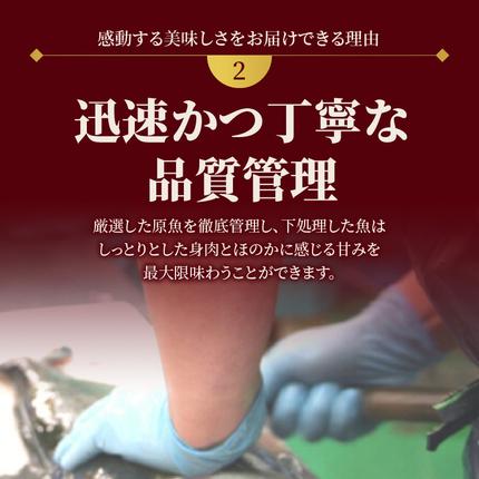 宮崎県延岡市のふるさと納税 【冷蔵】延岡産活〆真鯛とシマアジの豪華お刺身セット N019-YZC804
