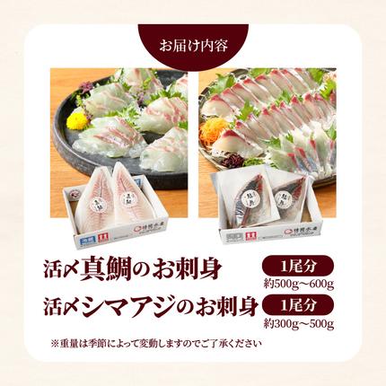 宮崎県延岡市のふるさと納税 【冷蔵】延岡産活〆真鯛とシマアジの豪華お刺身セット N019-YZC804