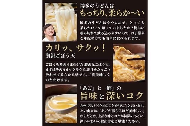 福岡県飯塚市のふるさと納税 博多ごぼう天うどん 12食セット【簡易梱包でお届け】【A-794】