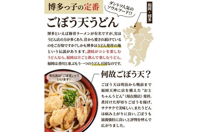 福岡県飯塚市のふるさと納税 博多ごぼう天うどん 12食セット【簡易梱包でお届け】【A-794】