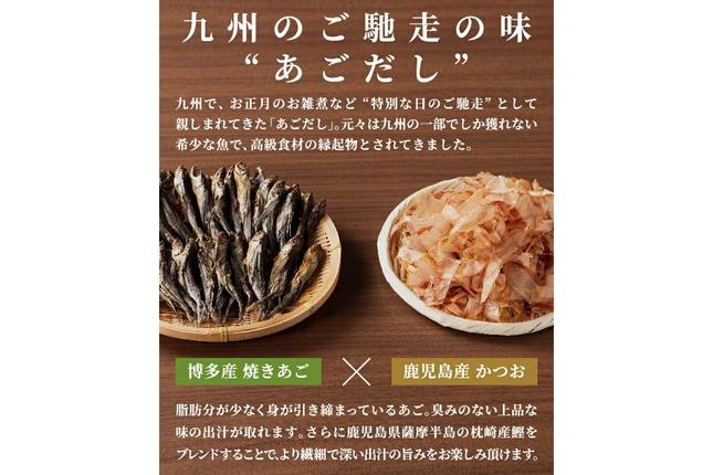 福岡県飯塚市のふるさと納税 博多ごぼう天うどん 12食セット【簡易梱包でお届け】【A-794】