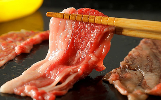 神奈川県南足柄市のふるさと納税 【国産希少牛】 相州牛（すき焼き用） 1.0kg 南足柄ブランド 国産牛 肉 1キロ【すき焼き 牛肉 お肉 ブランド牛 ギフト プレゼント 贈り物 お返し 贈答 贈答品 贈答用 神奈川県 南足柄市 】