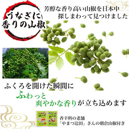茨城県古河市のふるさと納税 うなぎ蒲焼4人前（1人前約100g×4）贈答用パッケージ｜ うなぎ 鰻 ウナギ 400グラム 国産 かば焼き 蒲焼き 蒲焼 うな重 ひつまぶし たれ 山椒 人気 おすすめ 取り寄せ お取り寄せ グルメ 惣菜 ギフト 贈答 贈り物 プレゼント お中元 お歳暮 御歳暮 茨城県 古河市 直送 店舗直送 送料無料  _AT18
