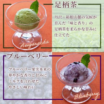 神奈川県南足柄市のふるさと納税 まつが農園アイスクリームギフト12個入り