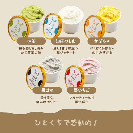 北海道中標津町のふるさと納税 北海道感動カップジェラート 12個セット - 北海道中標津の新鮮ミルクを贅沢に使用【1200101】