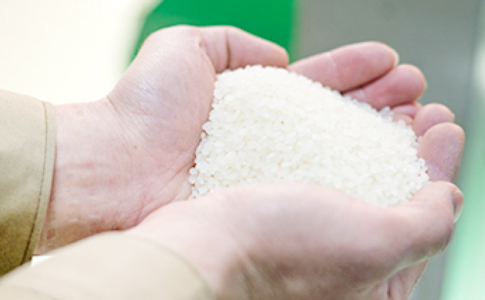 島根県美郷町のふるさと納税 令和6年産 美郷つや姫 10kg（5kg×2袋）【米 お米 精米 白米 ブランド米 つや姫 つやひめ 10kg 2024年産】