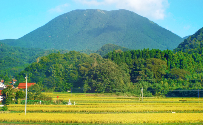 島根県美郷町のふるさと納税 令和6年産 美郷つや姫 10kg（5kg×2袋）【米 お米 精米 白米 ブランド米 つや姫 つやひめ 10kg 2024年産】