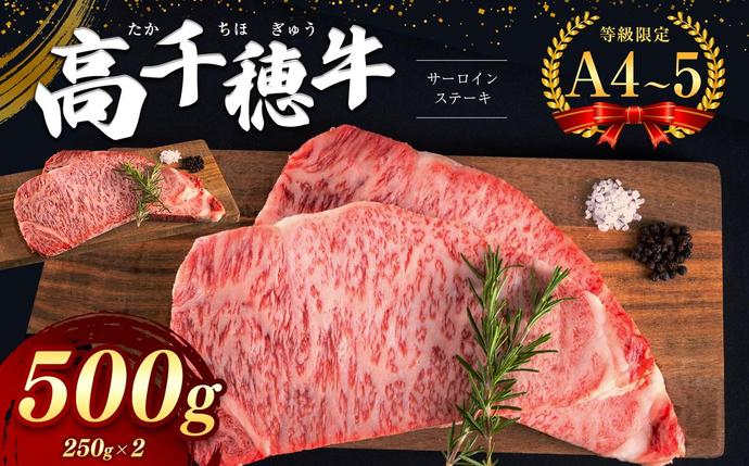 宮崎県五ヶ瀬町のふるさと納税 高千穂牛 サーロインステーキ 2枚