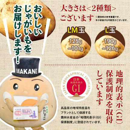 北海道今金町のふるさと納税 【先行予約】今金男しゃく（Lサイズ）約10kg【GI認証取得】（2025年10月～11月下旬までに発送） じゃがいも 男爵 いも だんしゃく 野菜 幻 北海道 今金町 GI認証 Lサイズ 10kg F21W-287