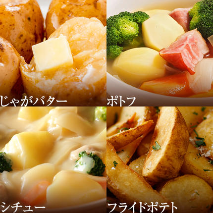 北海道今金町のふるさと納税 【先行予約】今金男しゃく（Lサイズ）約10kg【GI認証取得】（2025年10月～11月下旬までに発送） じゃがいも 男爵 いも だんしゃく 野菜 幻 北海道 今金町 GI認証 Lサイズ 10kg F21W-287